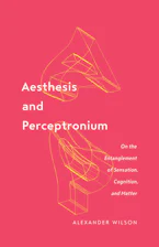Cover of 'Aesthesis and Perceptronium' 