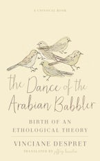 The Dance of the Arabian Babbler The Dance of the Arabian Babbler