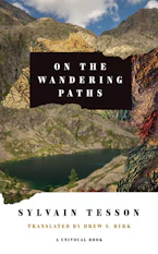 Cover of 'On the Wandering Paths' 
