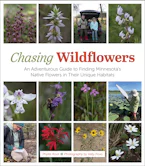 Cover of 'Chasing Wildflowers' 