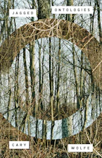 Cover of 'Jagged Ontologies Volume 81' 