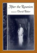 Cover of 'After the Reunion' 