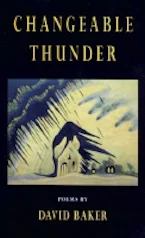 Cover of 'Changeable Thunder' 