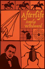 Cover of 'Afterlife' 