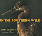 Cover of 'In the Southern Wild' 