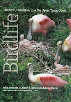 Birdlife of Houston, Galveston, and the Upper Texas Coast Birdlife of Houston, Galveston, and the Upper Texas Coast