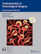 Cover of 'Controversies in Neurological Surgery' 
