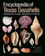 Encyclopedia of Texas Seashells Encyclopedia of Texas Seashells