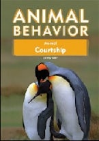 Animal Courtship Animal Courtship