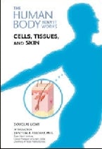 Cells, Tissues, and Skin