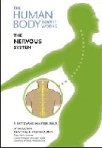 The Nervous System