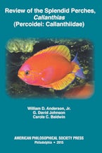 Review of the Splendid Perches, Callanthias (Percoidei: Callanthiidae)