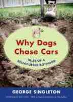 Why Dogs Chase Cars Why Dogs Chase Cars