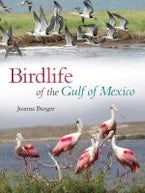 Birdlife of the Gulf of Mexico Birdlife of the Gulf of Mexico