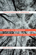 Cover of 'Transcendental Heresies' 