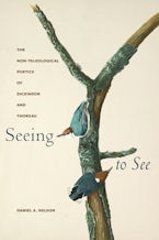 Seeing to See Seeing to See