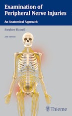 Examination of Peripheral Nerve Injuries: an Anatomical Approach
