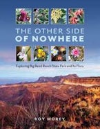 The Other Side of Nowhere The Other Side of Nowhere