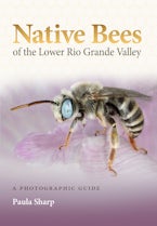 Native Bees of the Lower Rio Grande Valley