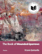 Cover of 'The Book of Wounded Sparrows' 
