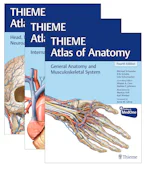 Cover of 'THIEME Atlas of Anatomy, Three Volume Set, Fourth Edition' 
