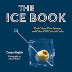 Cover of 'The Ice Book' 
