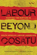 Labour Beyond Cosatu