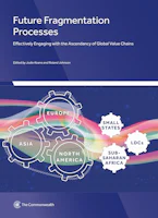 Cover of 'Future Fragmentation Processes' 