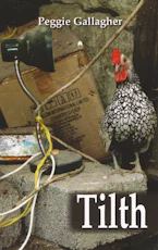 Cover of 'Tilth' by Peggie Gallagher 