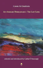 Cover of 'An TAmharc Deireannach : the Last Look' 