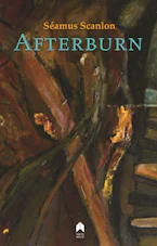 Cover of 'Afterburn' 