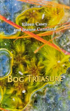 Cover of 'Bog Treasure' 
