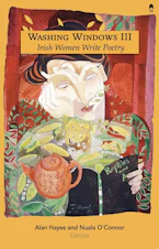 Cover of 'Washing Windows III' 