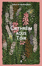 Cover of 'Caithreim Agus Toir' by Eithne Ni Ghallchobhair 