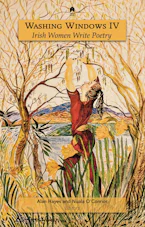 Cover of 'Washing Windows IV' 