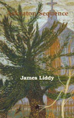 Cover of 'Askeaton Sequence' by James Liddy 