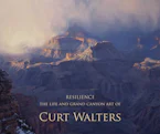 Cover of 'Resilience' 
