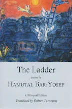 Cover of 'The Ladder' 