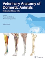 Veterinary Anatomy of Domestic Animals