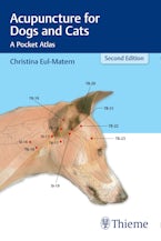 Acupuncture for Dogs and Cats