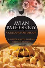 Cover of 'Avian Pathology' 