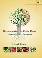 Cover of 'Rejuvenation in Fruit Trees' 