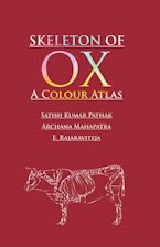Skeleton of Ox