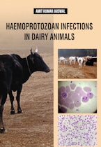 Haemoprotozoan Infections in Dairy Animals