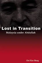 Cover of 'Lost in Transition' 