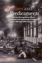 Cover of 'Promises and Predicaments' 