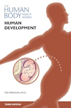 Human Development
