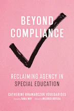 Cover of 'Beyond Compliance' 
